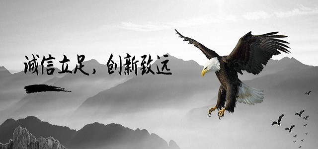 综合弱电体系办事集成商